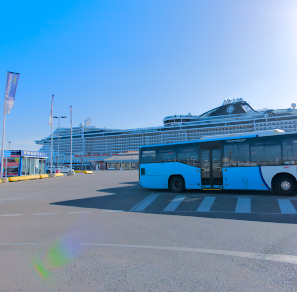 Cruise and Charter Buses