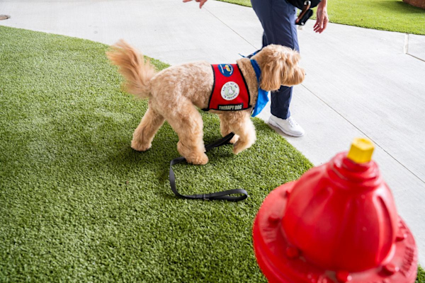IAH Terminal E Pet Relief