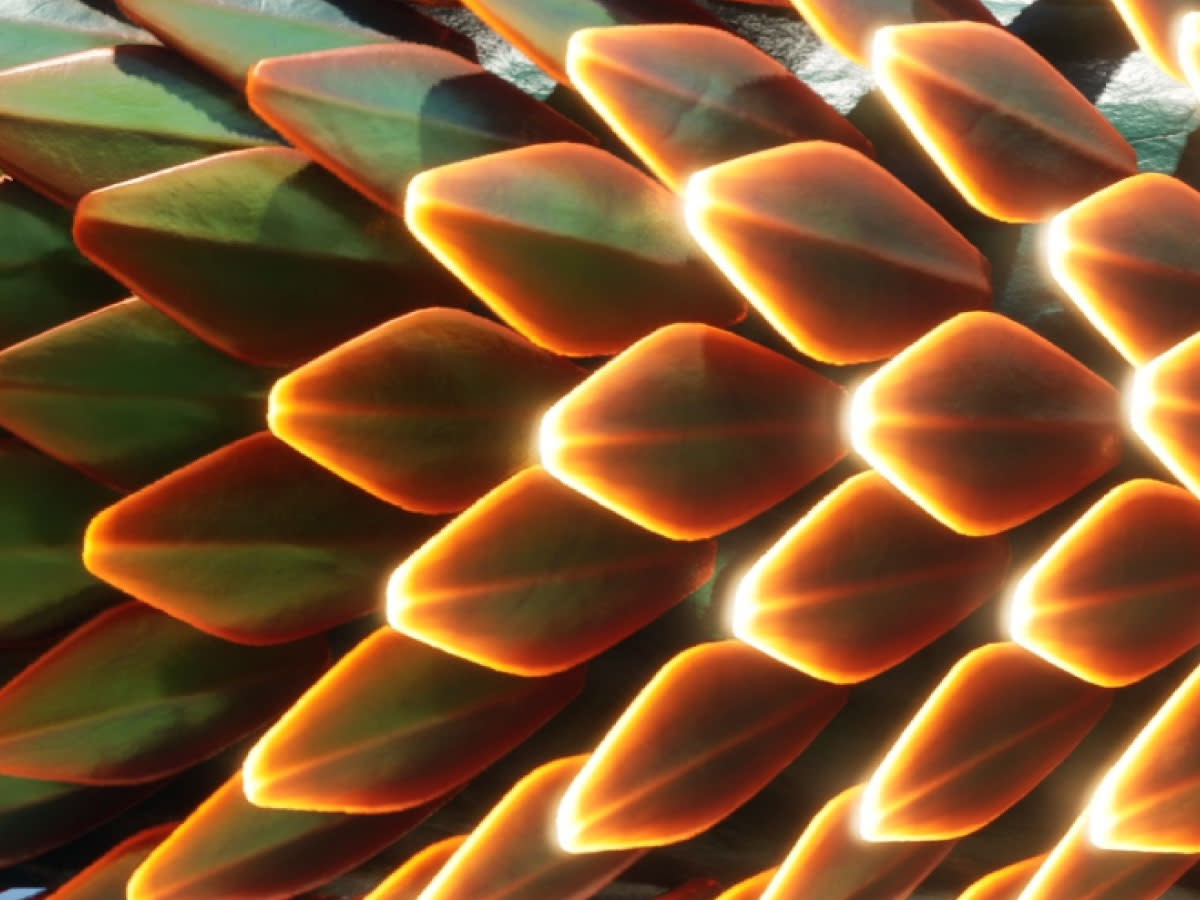 Coats, Fur and Scales