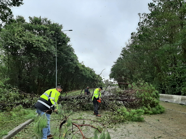 PHOTO ESSAY: How a unified effort helped to restore airport operations 4 hours after Beryl