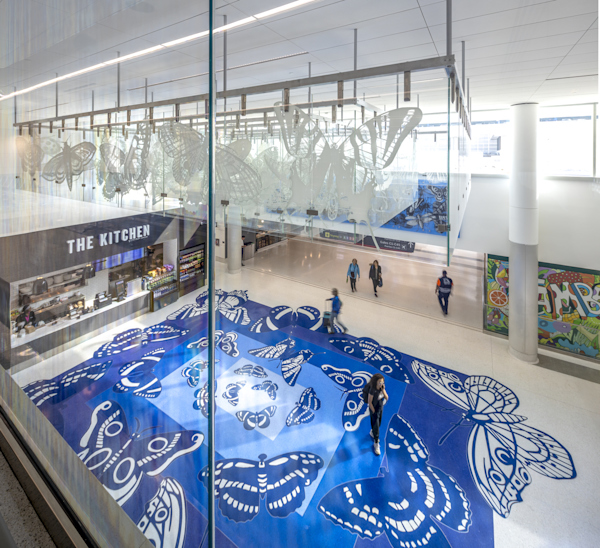A vision of flight: Regina Silveira’s 'Paradise' takes off at IAH