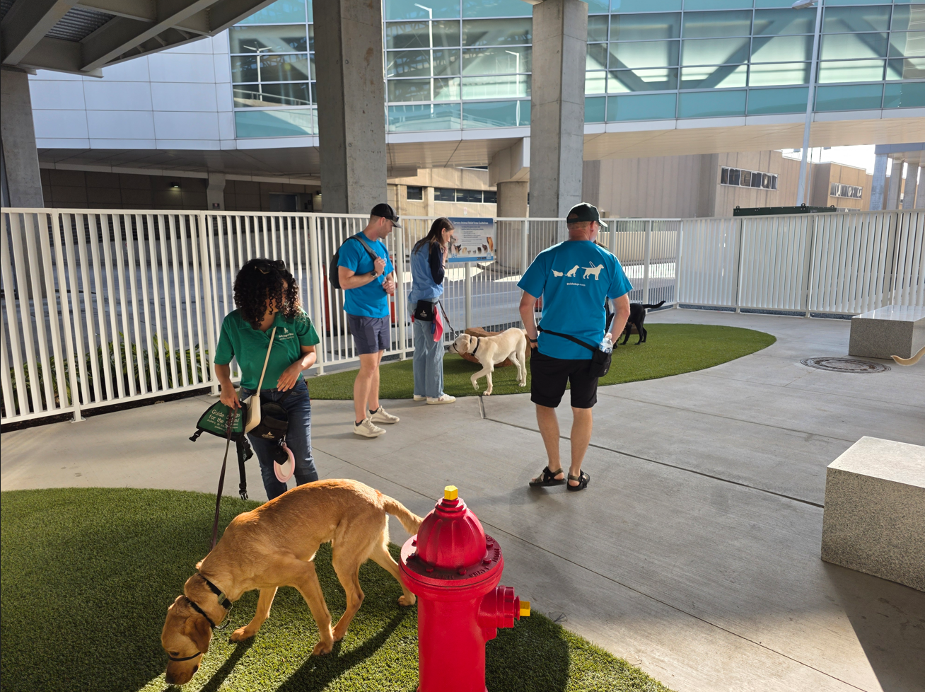 Guide Dogs for the Blind