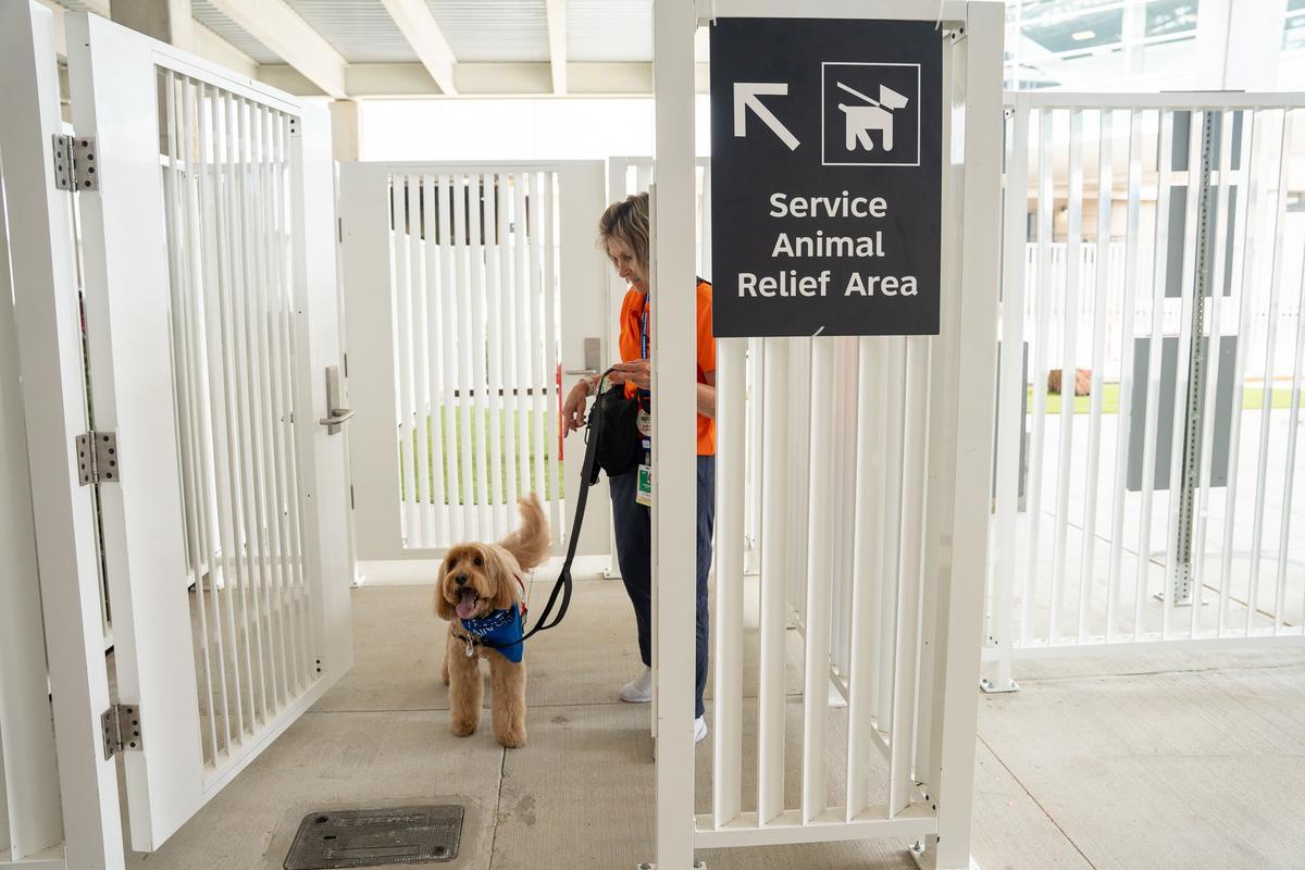 IAH Terminal E Pet Relief Area