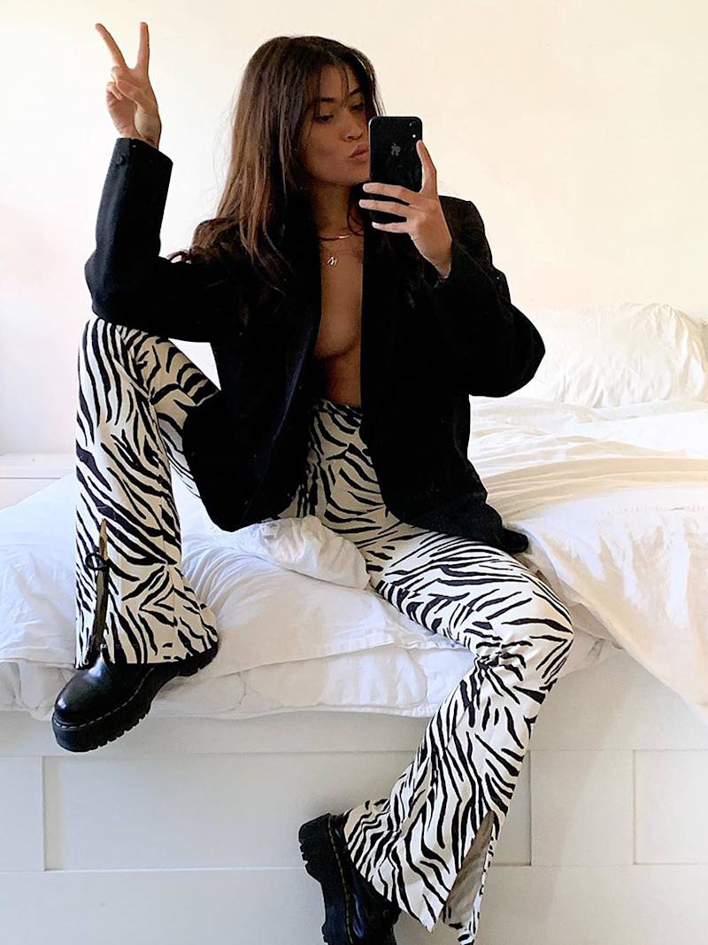 Zebra