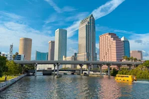 Article image for: How Much Does Hiring a Moving Company Cost in Tampa?