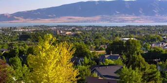 Article image for: How Much Does Hiring a Moving Company Cost in Orem?