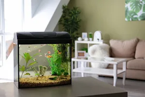 A fish aquarium sitting on a table in a living room.