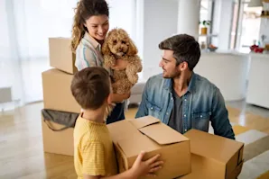 Article image for: 11 Tips for Moving with Pets