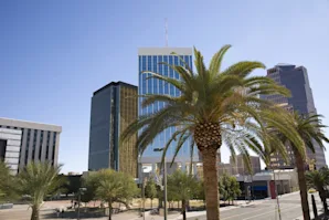 Article image for: 11 Best Places to Get Free & Cheap Moving Boxes in Tucson