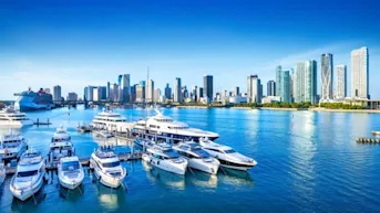 Article image for: How Much Do Movers Cost in Miami in 2026