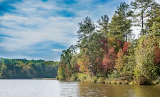 Colorful fall trees along the banks of a lake on a sunny day in Douglasville, GA.