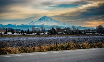 Roadside image of mountainous terrain in Kent, WA.