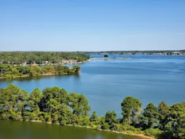 Aerial view of a lake with trees on each side.