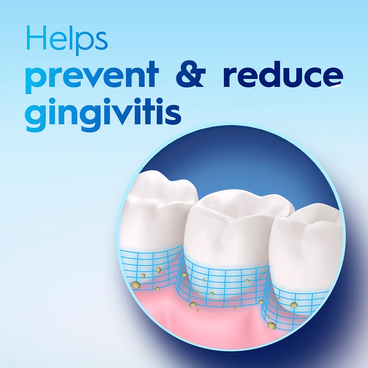 Helps prevent & reduce gingivitis