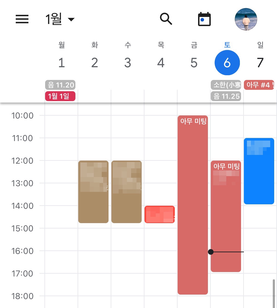 Google 캘린더 iOS 앱 스크린샷. 여러 색상으로 된 캘린더의 이벤트들이 등록되어 있음