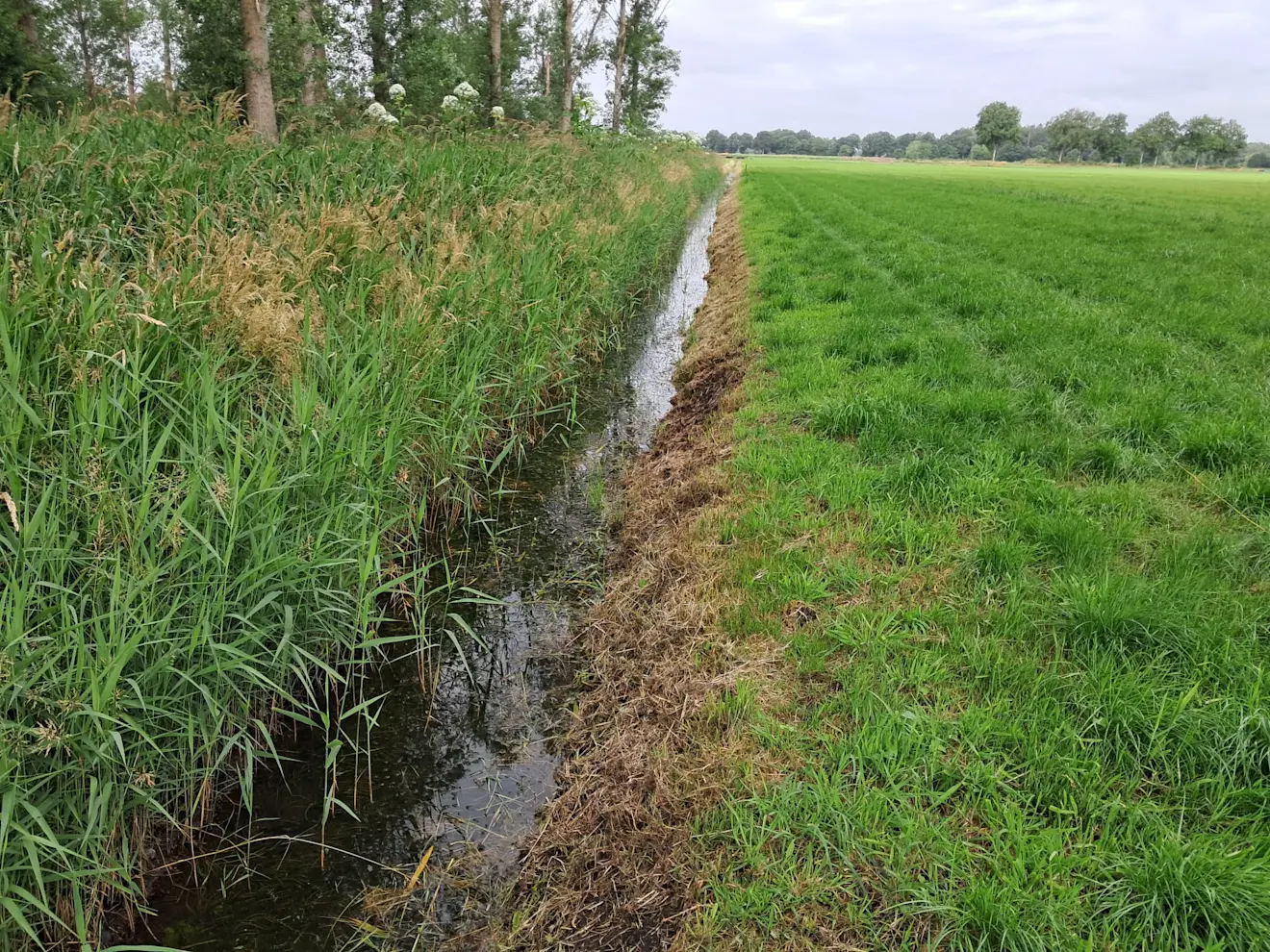 Een sloot vol water - Gerrit Woertink
