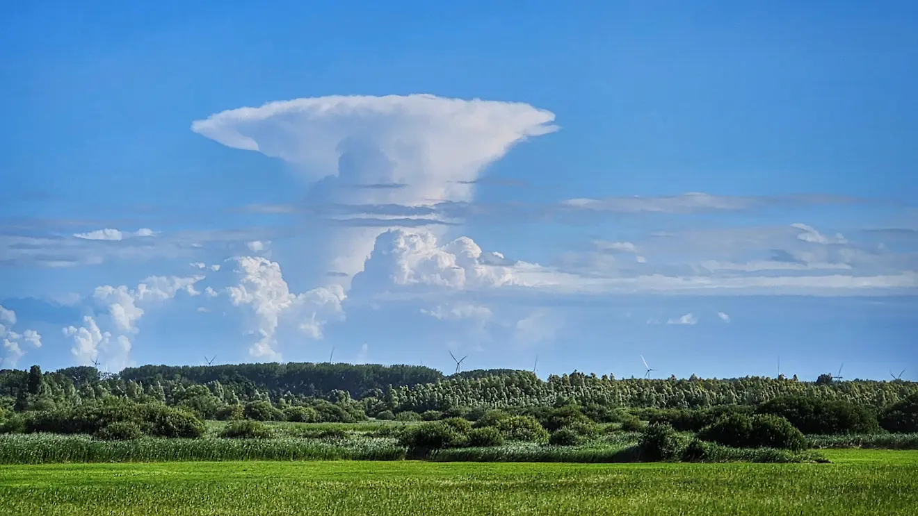 Fraai cumulonimbus, horend bij een bui boven Friesland en Drenthe, gezien vanuit Zeewolde - Jannine Sanders