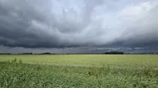 Buien boven het Groningse land - Jannes Wiersema