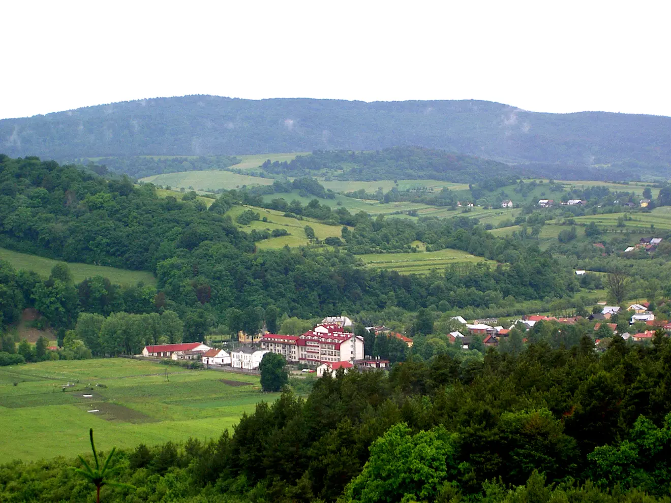 Huwniki in Podkarpacië - Wikipedia