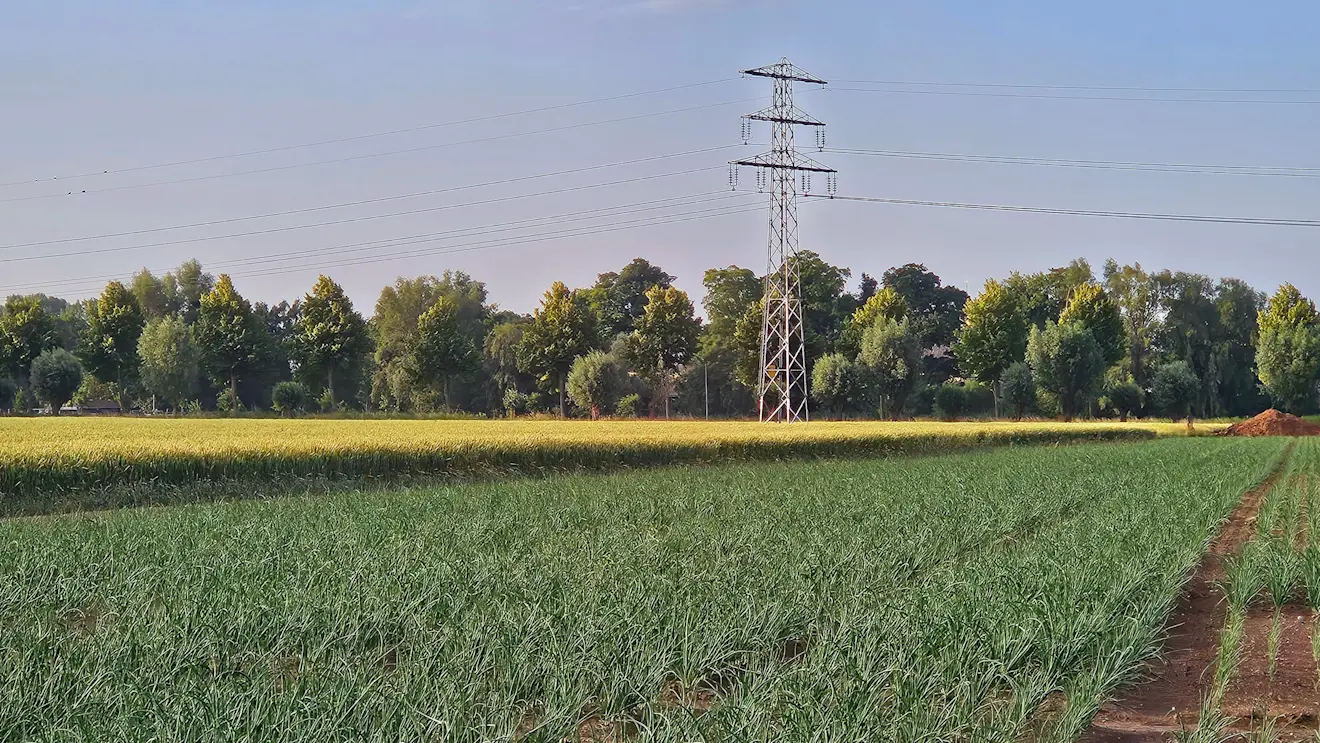 Het is vandaag warm in Nederland, in het weekend en begin volgende week wordt het mogelijk nóg warmer - Nely van Frankenhuyzen