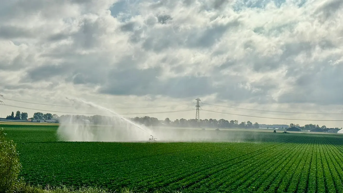 De velden worden op steeds meer plaatsen besproeid - Jolanda Bakker