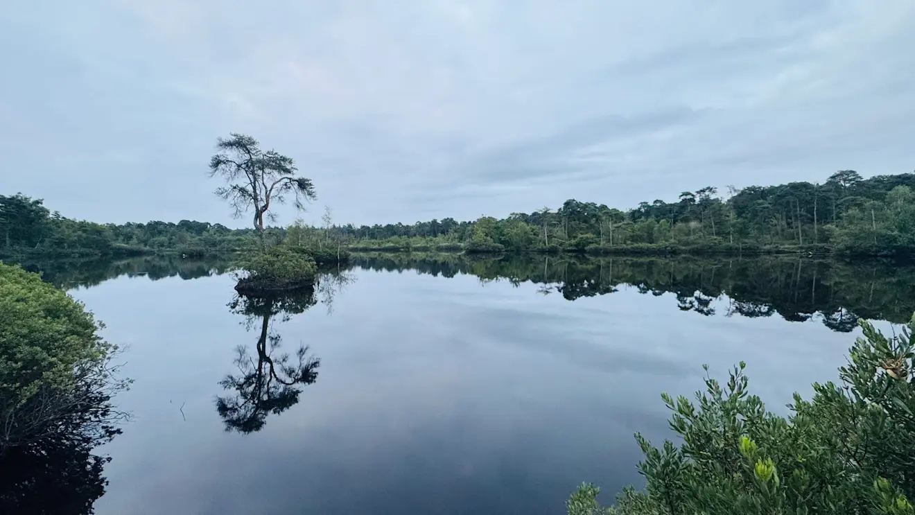 Het oppervlaktewater in Nederland was de laatste tijd erg warm, maar is door de weersverandering van de afgelopen dagen ook weer iets afgekoeld - John Oomen