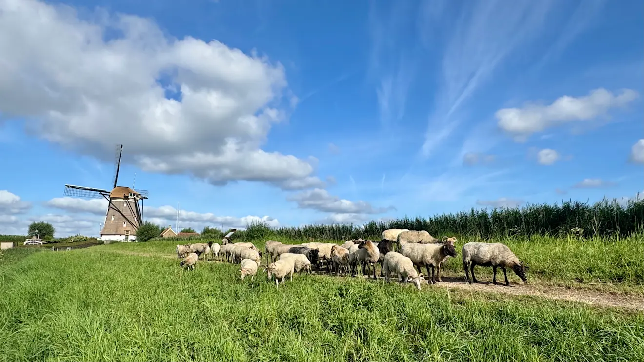 In Nederland zijn we weer in de fase van de Hollandse wolkenluchten beland _ Jolanda Bakker