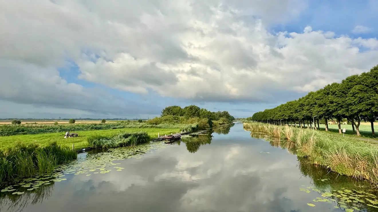 Het beeld van deze zomer - Jolanda Bakker