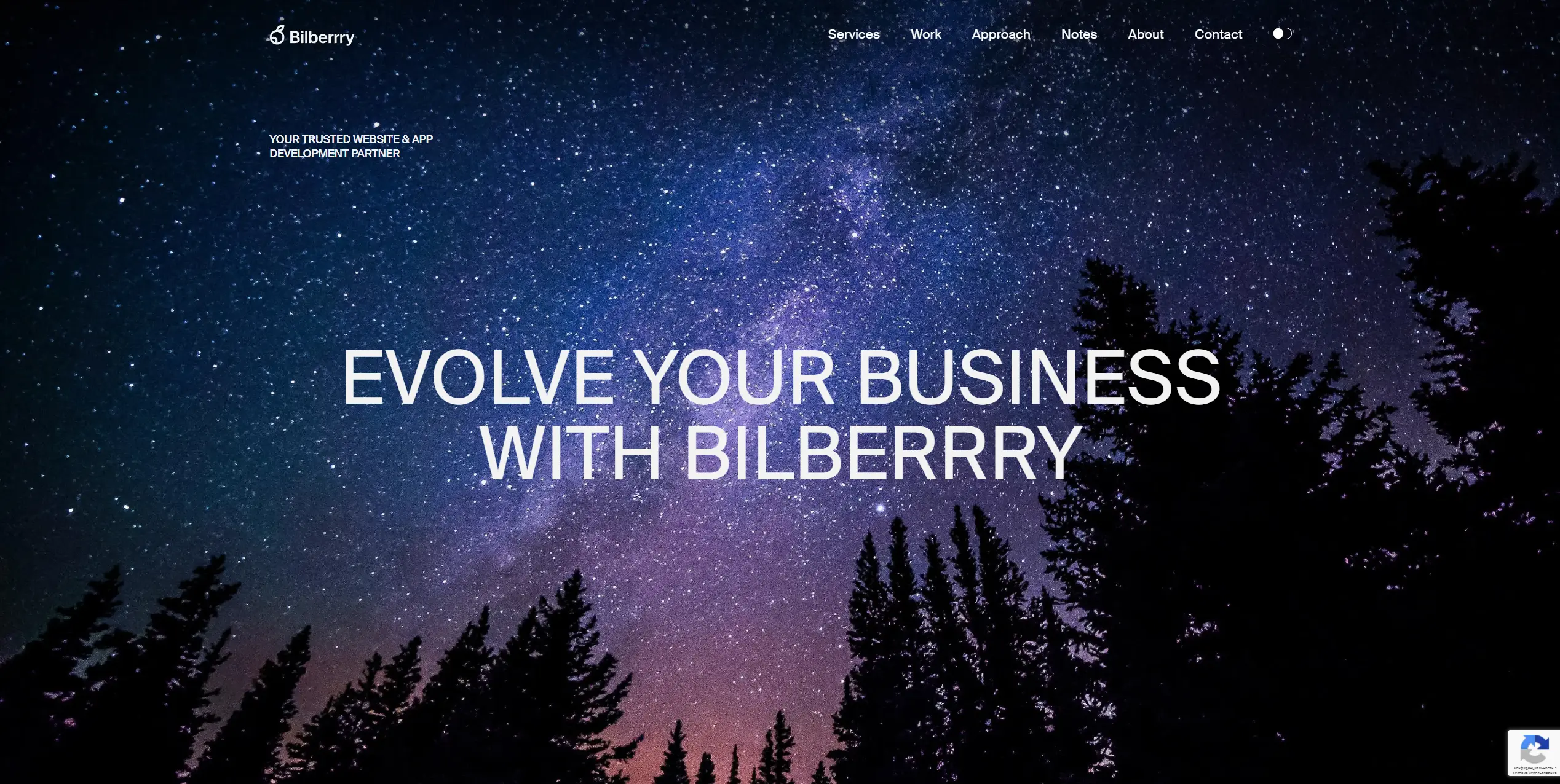 JavaScript Development Company - Bilberrry