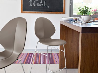 Basil_cs1354_P77_P900