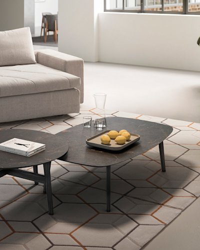 cs5137-B-C P12 P18C cs7207