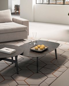 cs5137-B-C P12 P18C cs7207