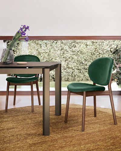 Ines cs2079 P12 S0H cs4139-R P29L P14C cs7258