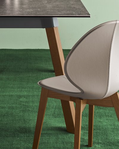 Basil cs4096-RC P201 P321 cs1348-LHS D03 cs8024-SS