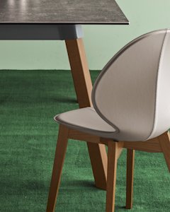 Basil cs4096-RC P201 P321 cs1348-LHS D03 cs8024-SS