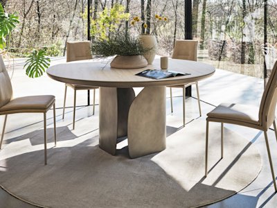 Carmen_cs4153-FD-A_P46B_P32C_cs2052_P46M_T3N_cs7266