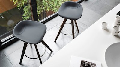 ELEMENT_IMAGE_Palm_cs1811_P12_S96_UP