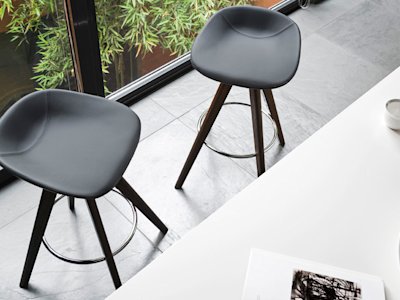 ELEMENT_IMAGE_Palm_cs1811_P12_S96_UP