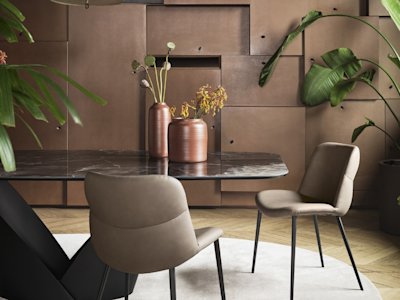 12 25 saldi background colour