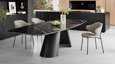 cs4132-FB P15-P29L P28C cs2037 S8S