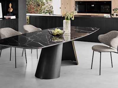 cs4132-FB P15-P29L P28C cs2037 S8S