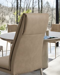 Carmen cs2052 P46M T3N part2 AI