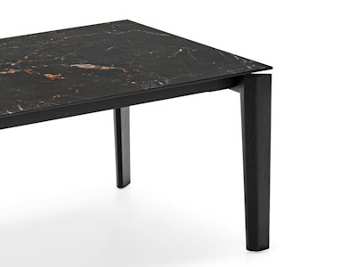 Dogma_cs4149-R_P15L_P18C_cl