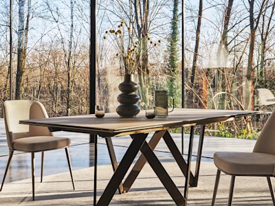 Cartesio_cs4111-R_MTO_P29L_P36C_cs1896_P29L_T3Q_cs7266_cl