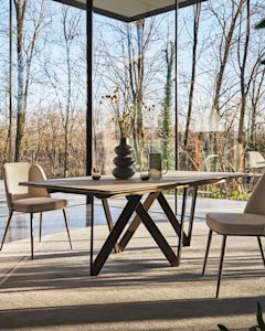 Cartesio_cs4111-R_MTO_P29L_P36C_cs1896_P29L_T3Q_cs7266_cl