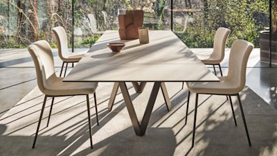 Annie cs4111-R MTO P29L P36C cs1852 P29L T3Q cs7266 op