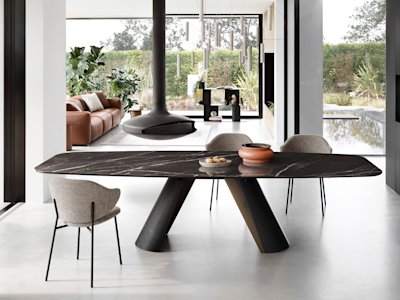 Carv cs4132-FB P15-P29L P28C cs2037 S8S cs6205-1 P15 cs3449 L1U