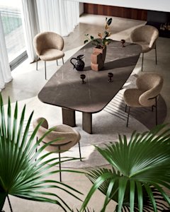 cs4156-FB-A P29B P14C cs2222 P29L T2J cs7281 up