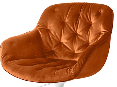 cs1873 scontornata