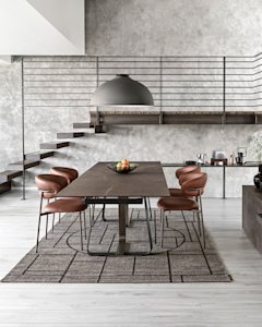 cs4128-R_P15-P29L_P14C_cs2031_P29L_SLT_cs7209_V